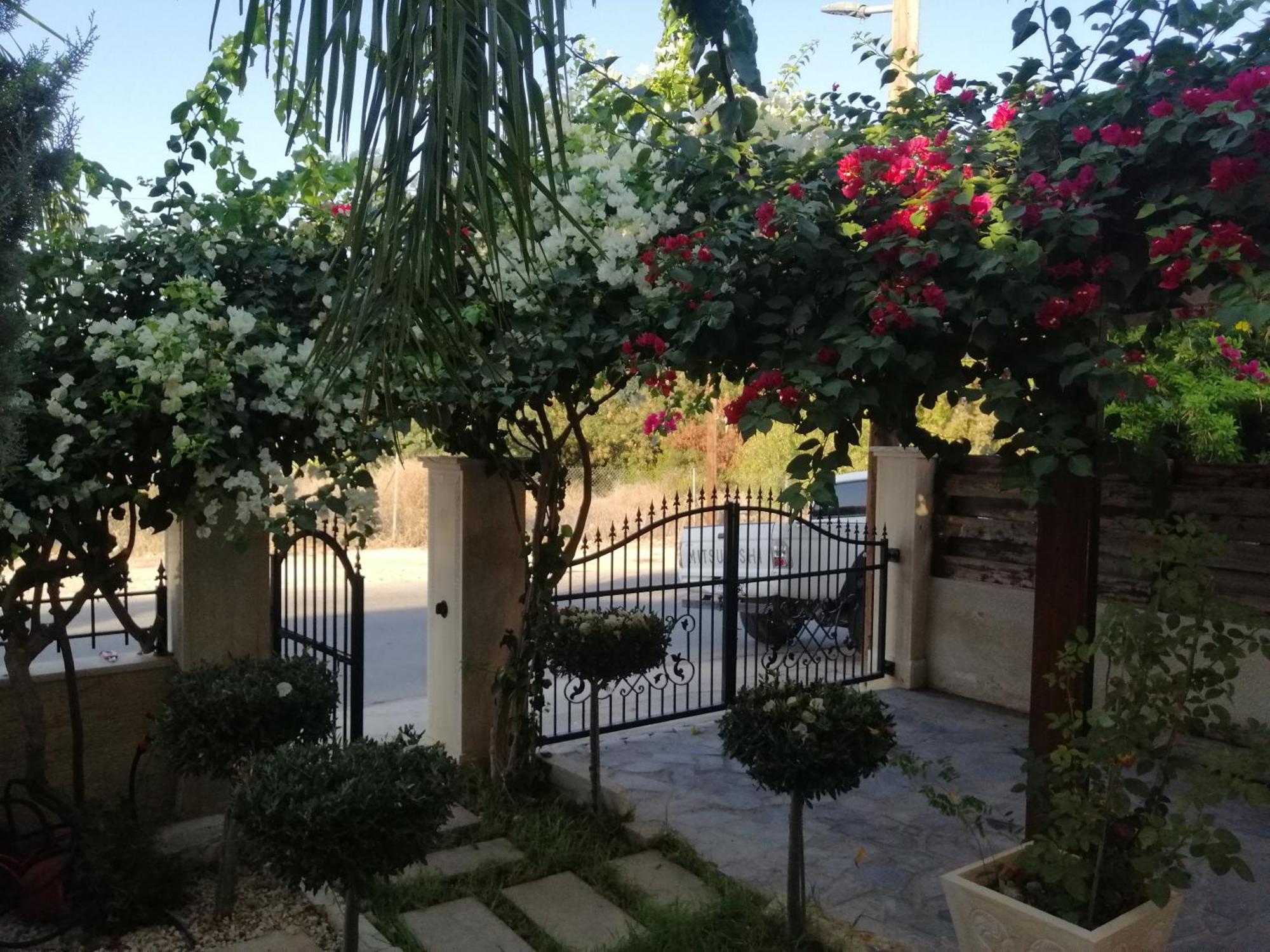 Villa Myria Paphos Quarto foto